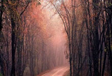 JN体育官网:阿森納宣布日本國腳富安健洋加盟球隊.