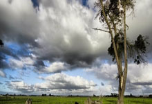 JN江南体育官网:夏普36+8普尔24分 小西蒙斯16+5开拓者胜奇才_篮板_助攻_NBA.