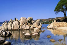 江南JN体育官方网站：[亚冬会]马威：中国队的姑娘太棒了 点燃了全场.